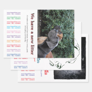 Denken Sie außerhalb der Box mit diesem Flyer  Geschenkpapier Set