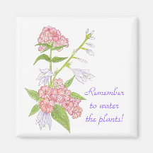 Denken Sie daran, die Pflanze Magnet zu gießen