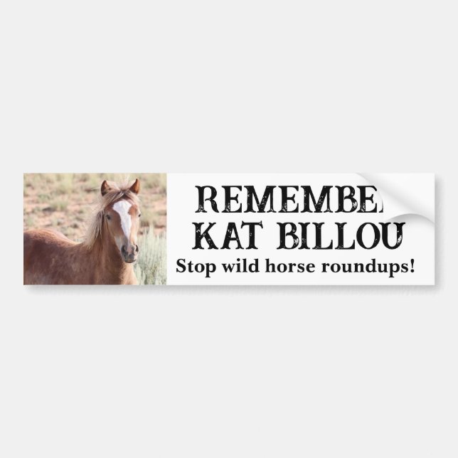 Denken Sie daran, Kat Billou Wild Horse Autoaufkleber (Vorne)