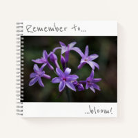 Denken Sie daran, Lila Blue Flowers Notebook zu bl