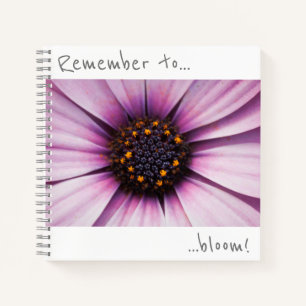 Denken Sie daran, Osteospermum Blume Notebook blüh Notizbuch