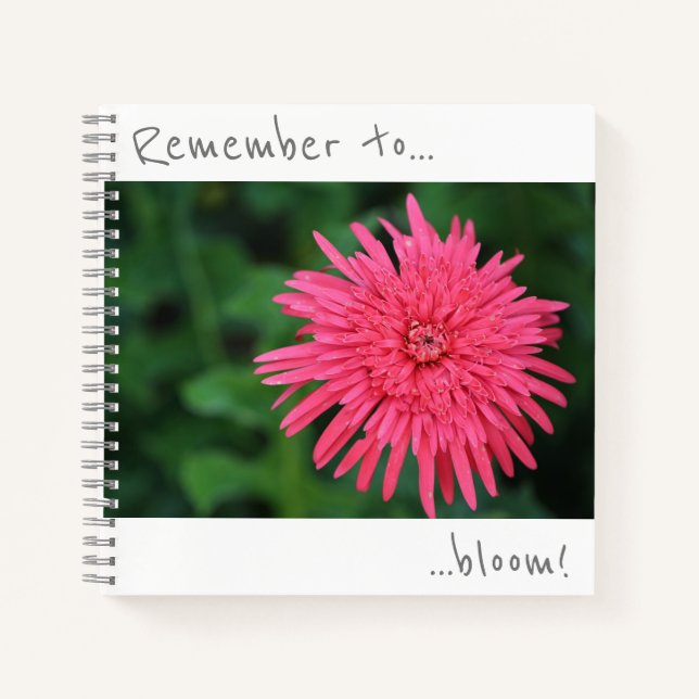 Denken Sie daran, rosa Chrysanthemum-Notebook zu b Notizbuch (Vorderseite)