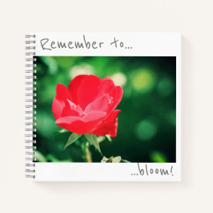 Denken Sie daran, Rote Rose Blume Notebook zu blüh Notizbuch