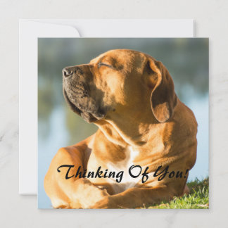 Denken Sie Feiertagskarte