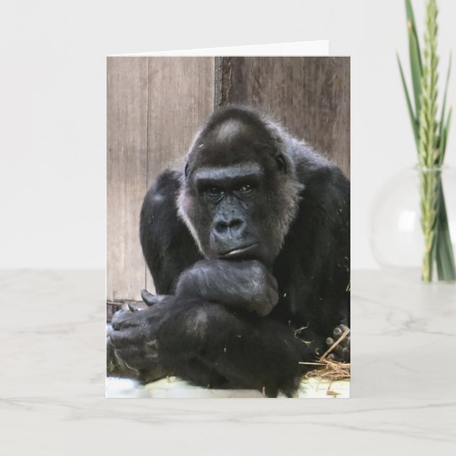 DENKEN SIE GORILLA GREETING CARDS KARTE (Vorderseite)