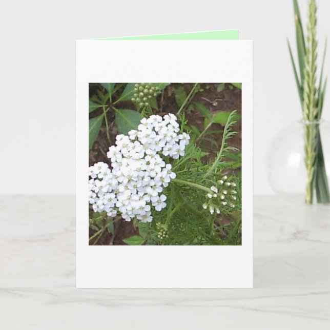 Denken Sie Karte (Vorderseite)