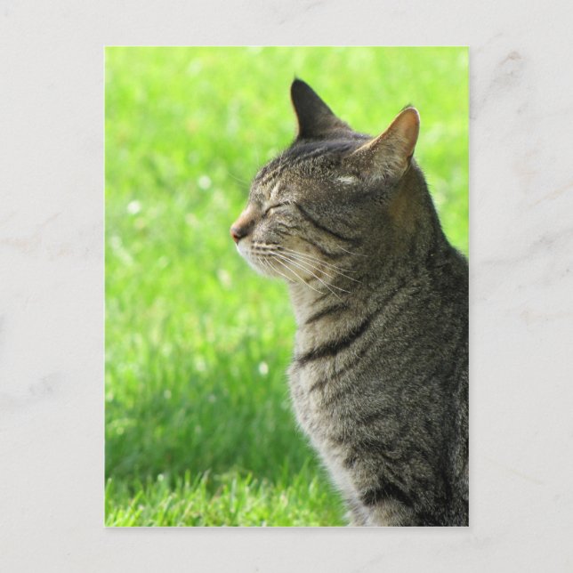 Denken ... von Ihnen ... Postkarte (Vorderseite)