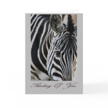 Denken - Zebra - Tier