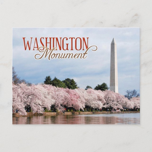 Denkmal von Washington mit Kirschblüten Postkarte (Vorderseite)