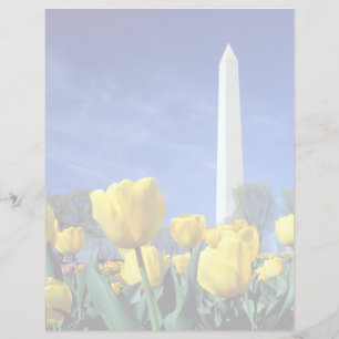 Denkmäler Denkmal von Washington im Frühjahr