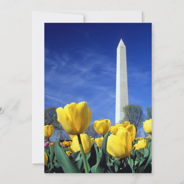 Denkmäler | Denkmal von Washington im Frühjahr Dankeskarte (Vorderseite)