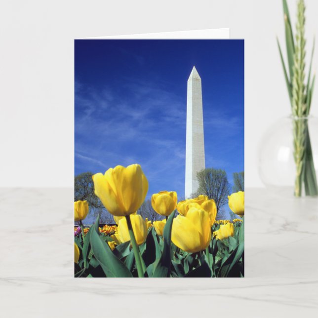 Denkmäler | Denkmal von Washington im Frühjahr Karte (Vorderseite)