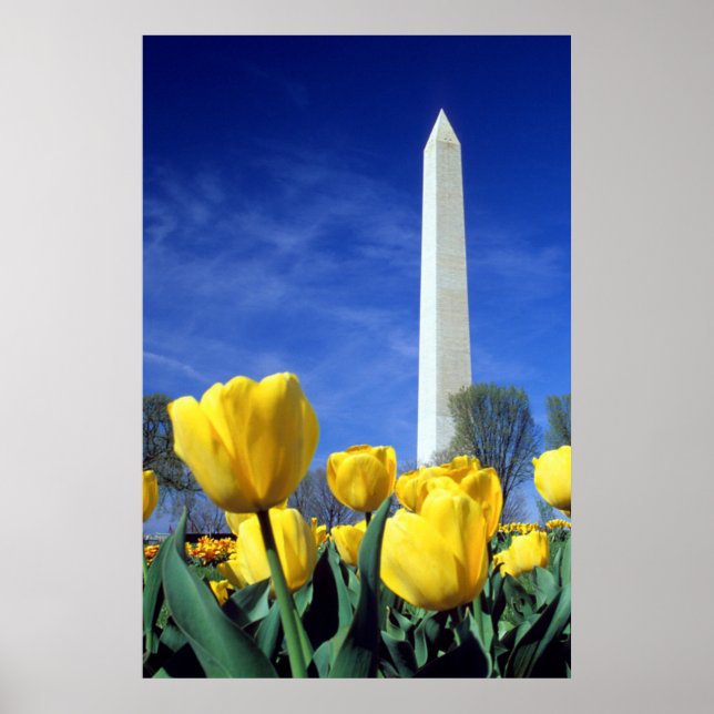 Denkmäler | Denkmal von Washington im Frühjahr Poster (Vorne)
