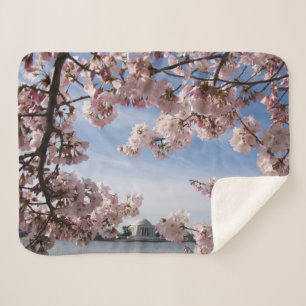 Denkmäler Jefferson Memorial Cherry Blossys Sherpadecke