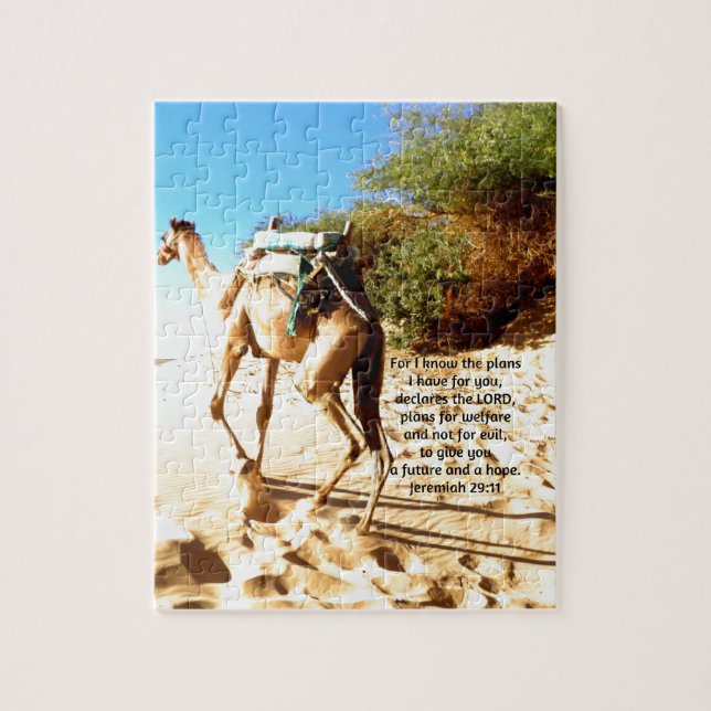 Denn ich weiß, die Pläne habe ich .... Jeremiah 29 (Vertikal)