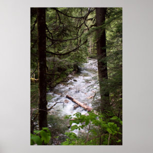 Denny Creek Print Poster