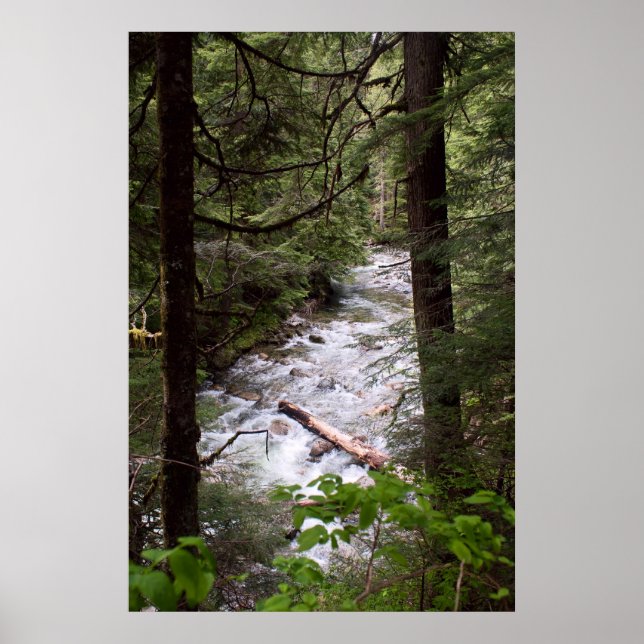 Denny Creek Print Poster (Vorne)