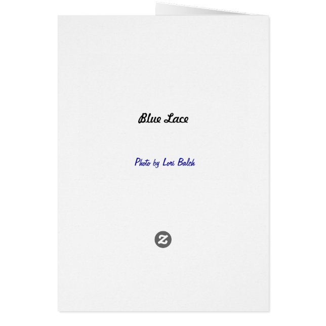 Dentelle bleue (Dos)