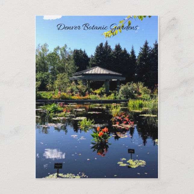 Denver Botanic Garden Postcard Postkarte (Vorderseite)