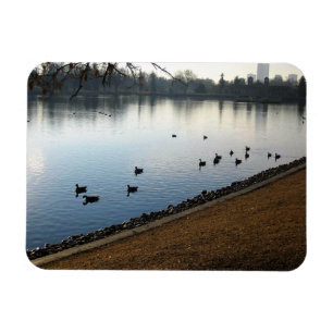 Denver City Park, Denver, Colorado Magnet
