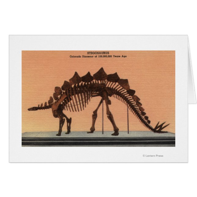 Denver, Colorado - Musée d'histoire naturelle 2 (Devant horizontal)