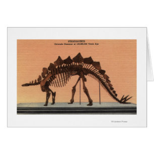 Denver, Colorado - Museum für Naturgeschichte 2