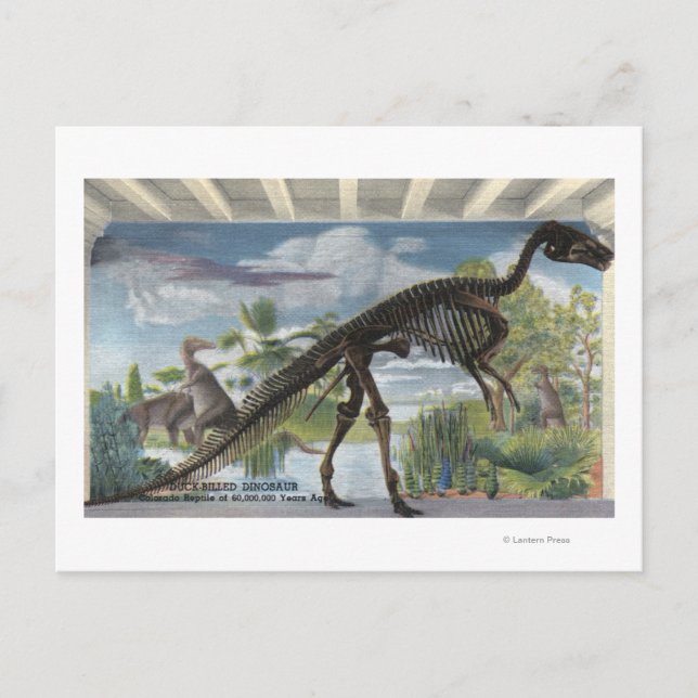 Denver, Colorado - Museum für Naturgeschichte Postkarte (Vorderseite)