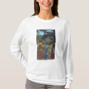 Denver-Gebirgspark, Co - Bärn-Nebenfluss-Schlucht T-Shirt