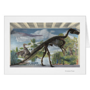 Denver, le Colorado - musée d'histoire naturelle
