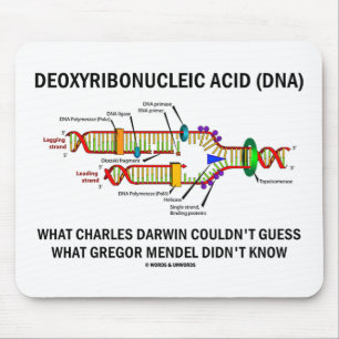 Deoxyribonucelic saurer (DNS) Mendel Darwin Mousepad