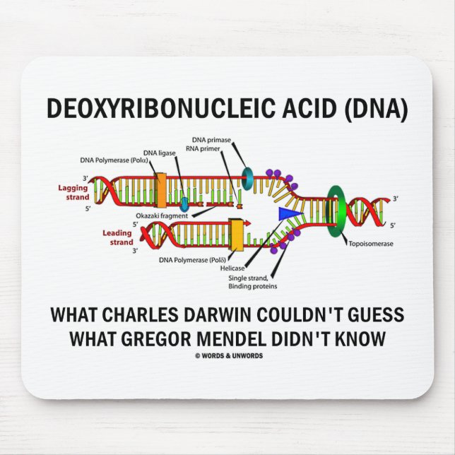Deoxyribonucelic saurer (DNS) Mendel Darwin Mousepad (Vorne)