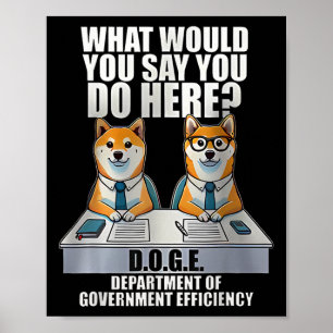 Department of Government Efficiency Poster