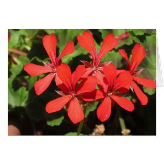 Déplacement en Italie du nord