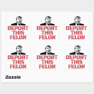 Deportation dieses Felon Quadratischer Aufkleber