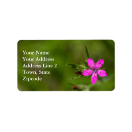Deptford Pink Wildblume Floral Labels Adressaufkleber