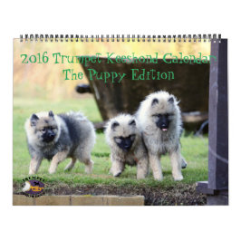 Der 2016 Trompetekeeshond-Kalender: Welpen-Ausgabe Kalender
