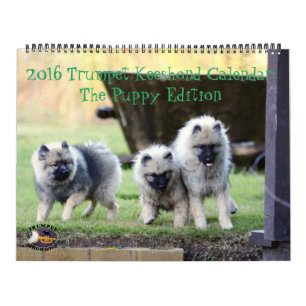 Der 2016 Trompetekeeshond-Kalender: Welpen-Ausgabe Kalender