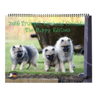 Der 2016 Trompetekeeshond-Kalender: Welpen-Ausgabe Kalender