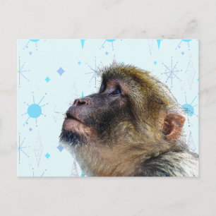 Der Affe blickt auf das moderne Hintergrundbild de Postkarte