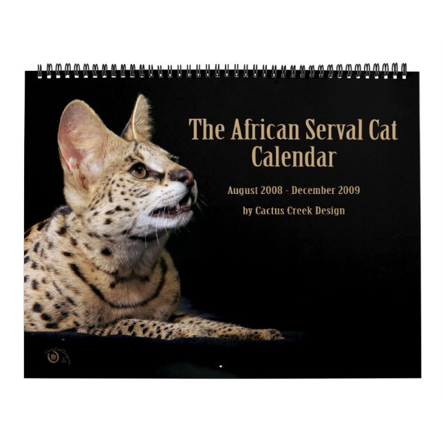 Der afrikanische Serval-Katzen-Kalender Kalender (Titelbild)