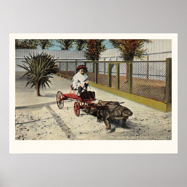Der Alligator Express Cart Print Poster (Vorne)