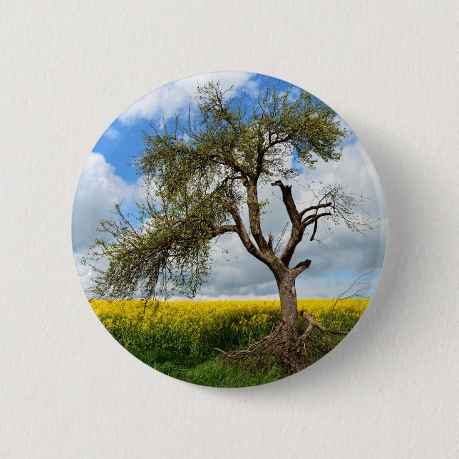 Der alte Baum Button (Vorderseite)