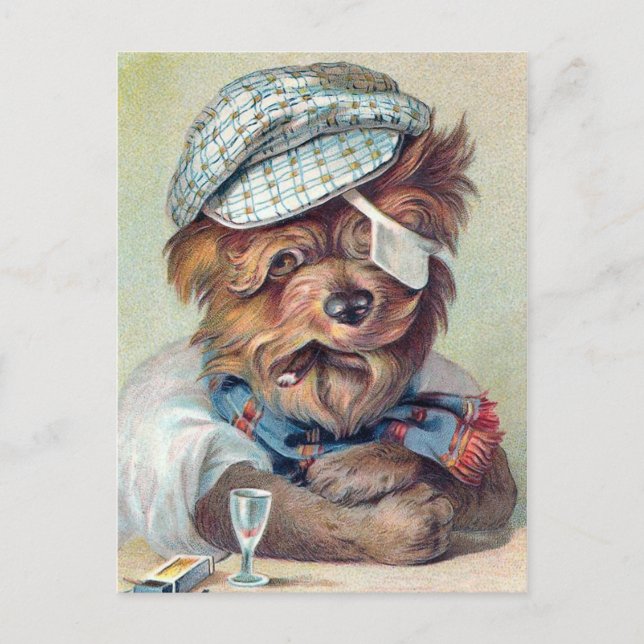 "Der alte Rascal" Vintager Hund Postkarte (Vorderseite)