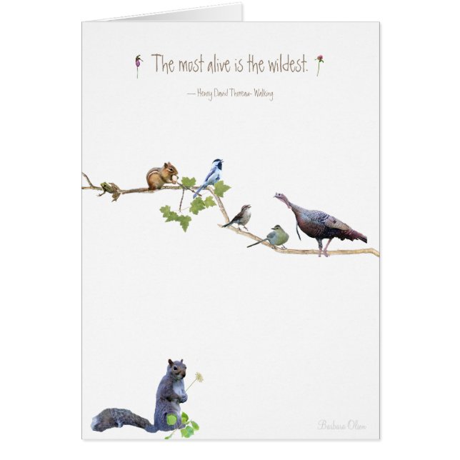 Der am meisten lebendige ist der wildeste unter He (Vorne)