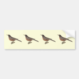 Der amerikanische Robin	(Merula migratoria) Autoaufkleber