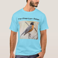 Der amerikanische Robin