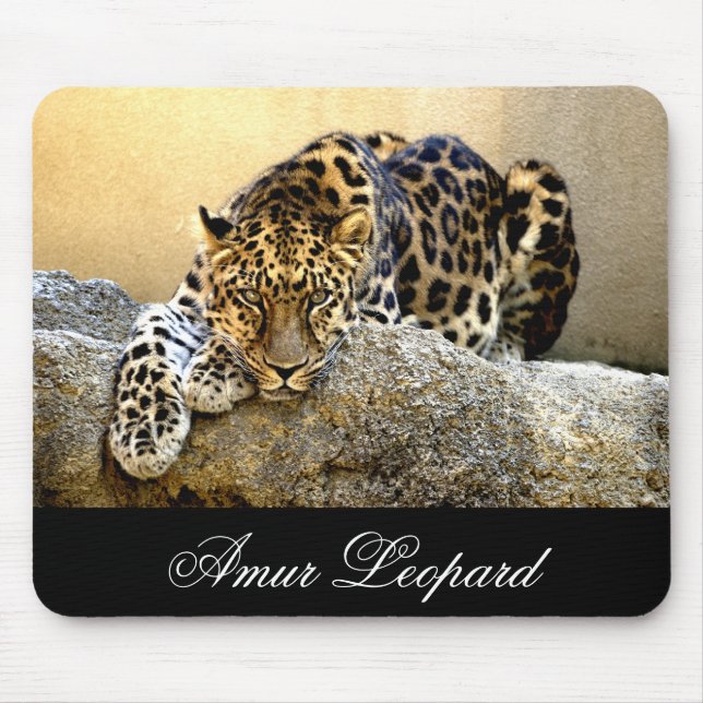 Der amur-Leopard Mousepad (Vorne)