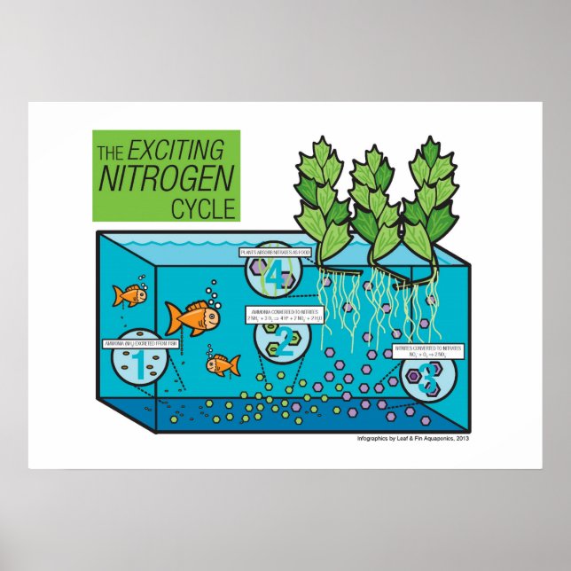 Der anregende Stickstoffzyklus Poster (Vorne)