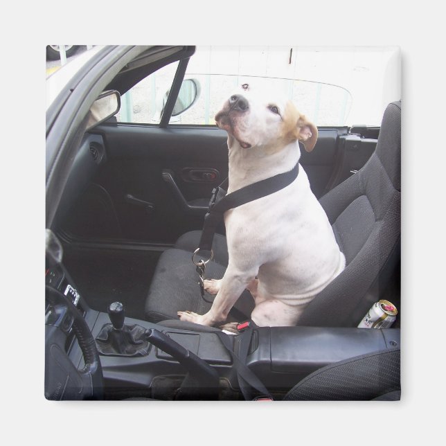 Der Anti Michael Vick Magnet (Vorne)