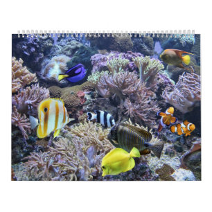 Der Aquarium-Kalender Kalender